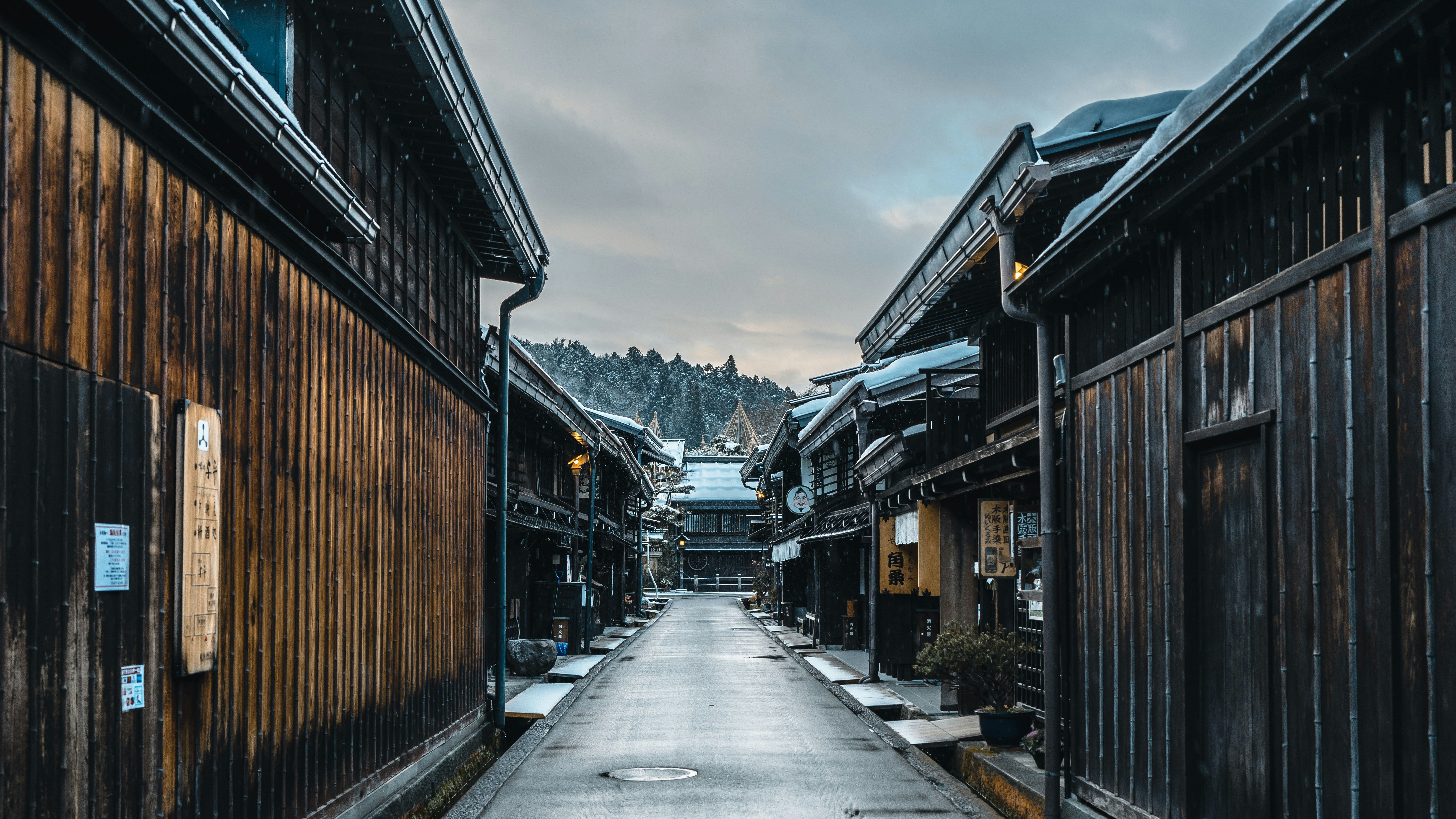 祖谷渓:四国の秘境と絶景吊り橋